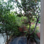 Sobrado à venda com 4 suítes em Vila Guilherme, São Paulo, SP