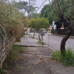 Terreno na rua Alcindo Bueno de Assis, localizada no bairro do Tucuruvi /Tremembé em São Paulo. Agende uma visita