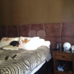Apartamento à venda com 2 quartos em Bela Vista, São Paulo, SP