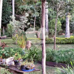 Casa à venda com 6 quartos, sendo 2 suítes, no condomínio Associação Reserva das Hortênsias, Mairiporã - SP