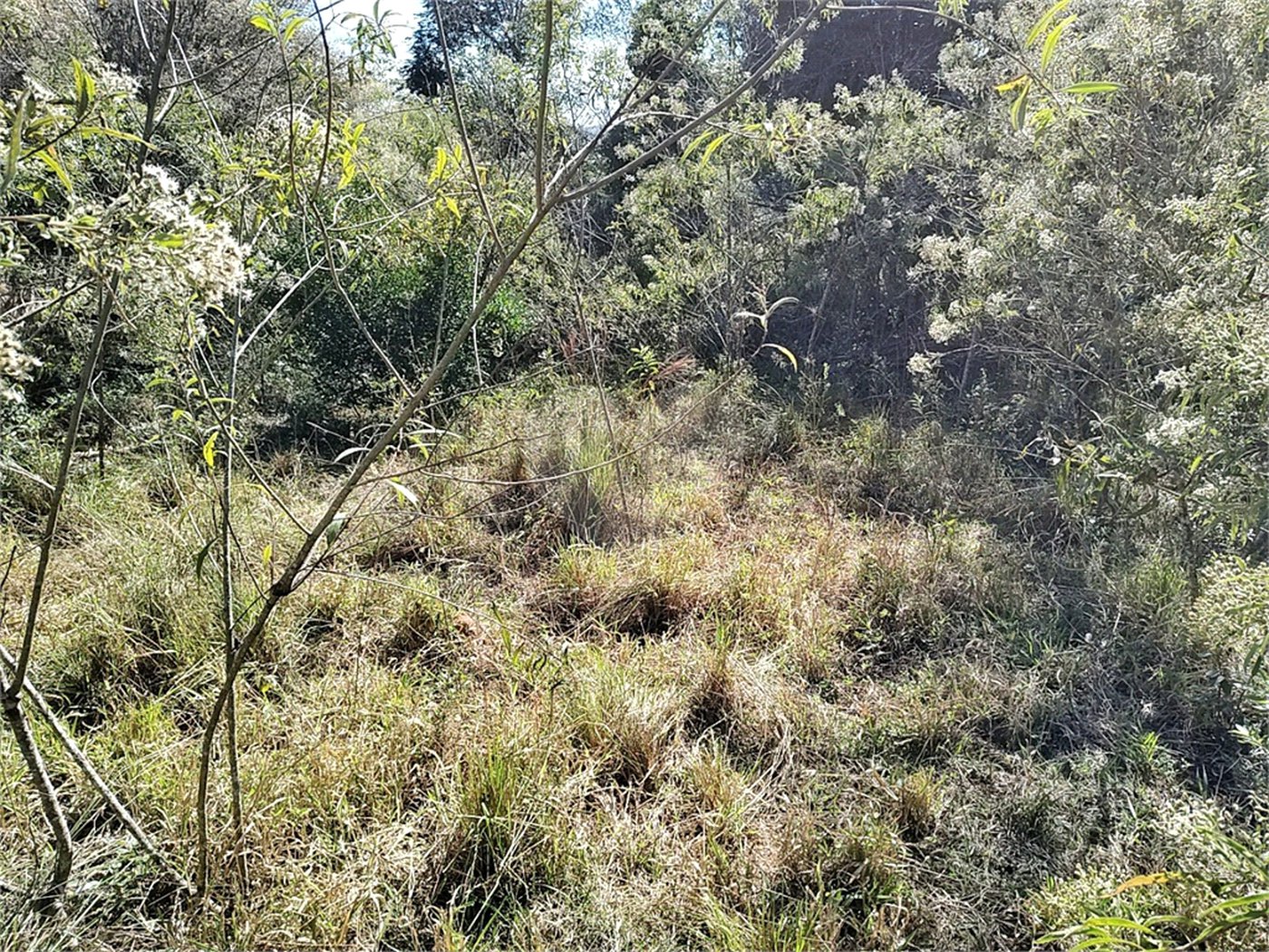 Sítio à venda com 3 quartos, sendo 1 suíte,  em Da Barra, Salto de Pirapora, SP