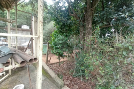 Chácara à venda com 3 quartos em Vila Belo Horizonte, Itapetininga, SP