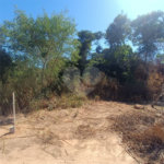 Terreno à venda em Praia Rasa, Armação dos Búzios, RJ