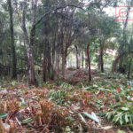 Terreno à venda em Serra da Cantareira, Mairiporã, SP