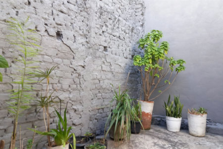 Casa à venda com 2 quartos em Vila Santa Maria, São Paulo, SP