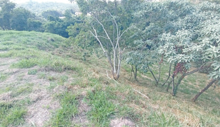 Terreno à venda em Observatório, Vinhedo, SP