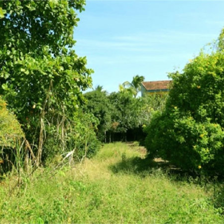 Casa Residencial à venda, Balneário Marambaia, Itanhaém - CA0135.