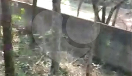 Terreno à venda em Luiz Fagundes, Mairiporã, SP