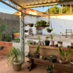 Casa à venda com 3 quartos em Parque dos Ipês I, Ponta Porã, MS
