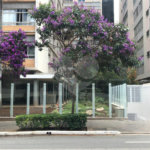 Apartamento à venda no bairro Bela Vista.