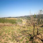 Terreno à venda em Recanto das Acácias, São Roque, SP