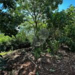 Terreno à venda em Residencial Emilio de Andrade, Ponta Porã, MS