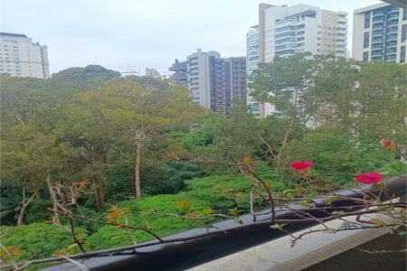 Apartamento à venda com 3 suítes em Vila Suzana, São Paulo, SP