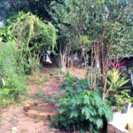 Casa à venda com 4 quartos em Capela, Vinhedo, SP