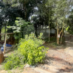 Chácara à venda com 10 quartos, sendo 20 suítes, em Serra da Cantareira, Mairiporã, SP