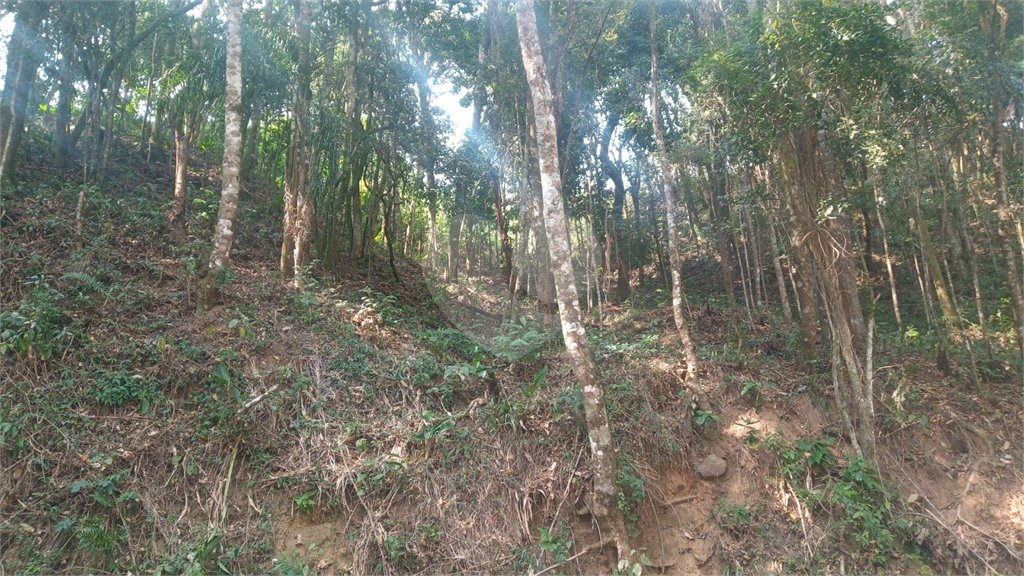 Terreno à venda em Serra da Cantareira, Mairiporã, SP