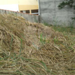 Terreno à venda em Jardim do Trevo, Atibaia, SP