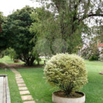 Sitio para venda no bairro Chácara Leila (Varjão)