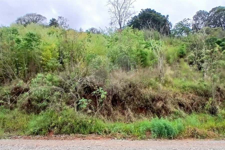 Terreno à venda em Luiz Fagundes, Mairiporã, SP