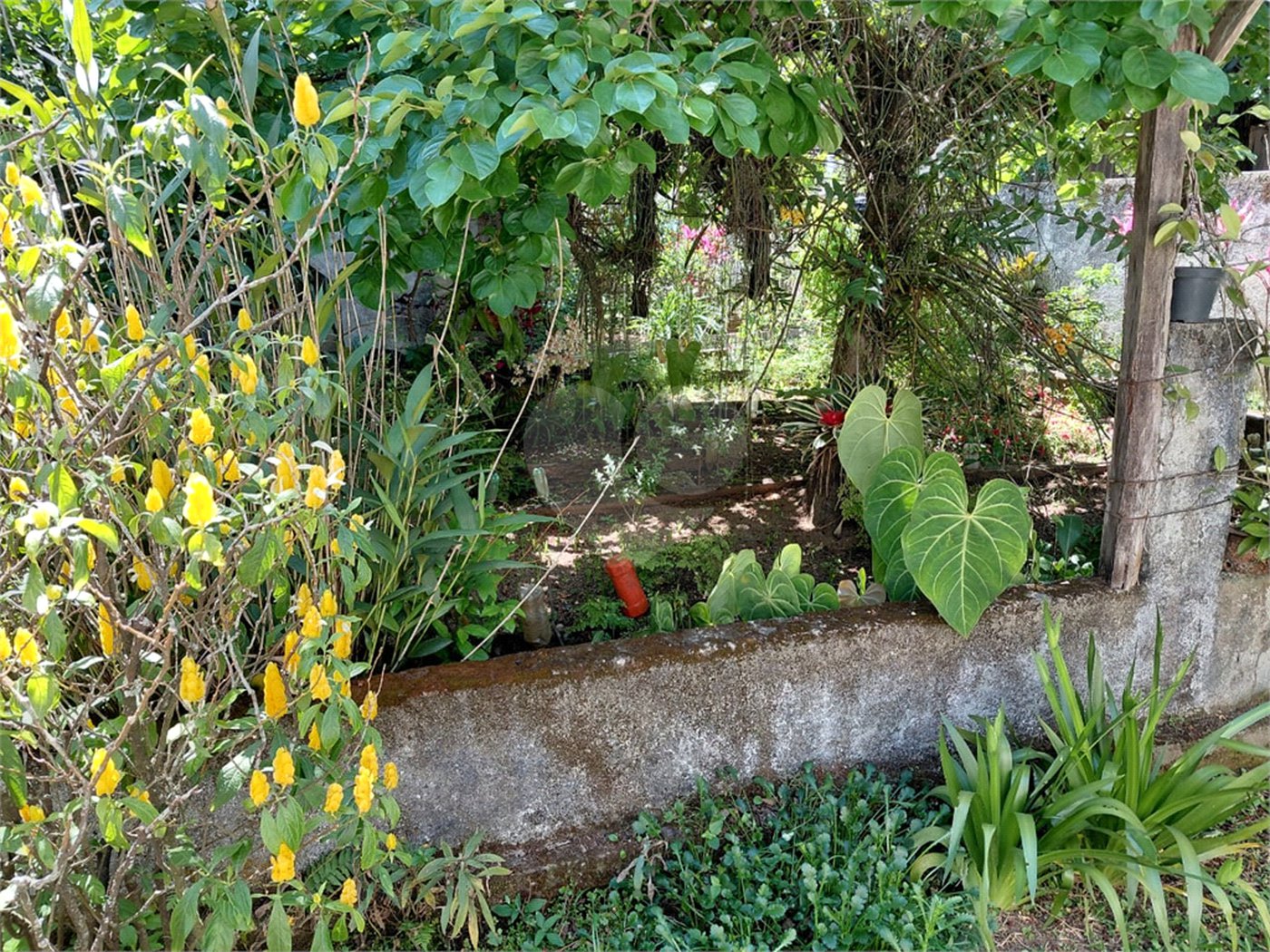 Terreno à venda em Horto Florestal, São Paulo, SP