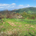 Área de Terra à venda com 1 suíte em Cocais, Itatiba, SP