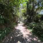 Terreno à venda em Serra da Cantareira, Mairiporã, SP