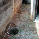 Terreno à venda em Freguesia do Ó, São Paulo, SP