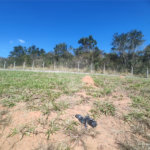 Terreno à venda no condomínio Portal Lamis I, Atibaia - SP