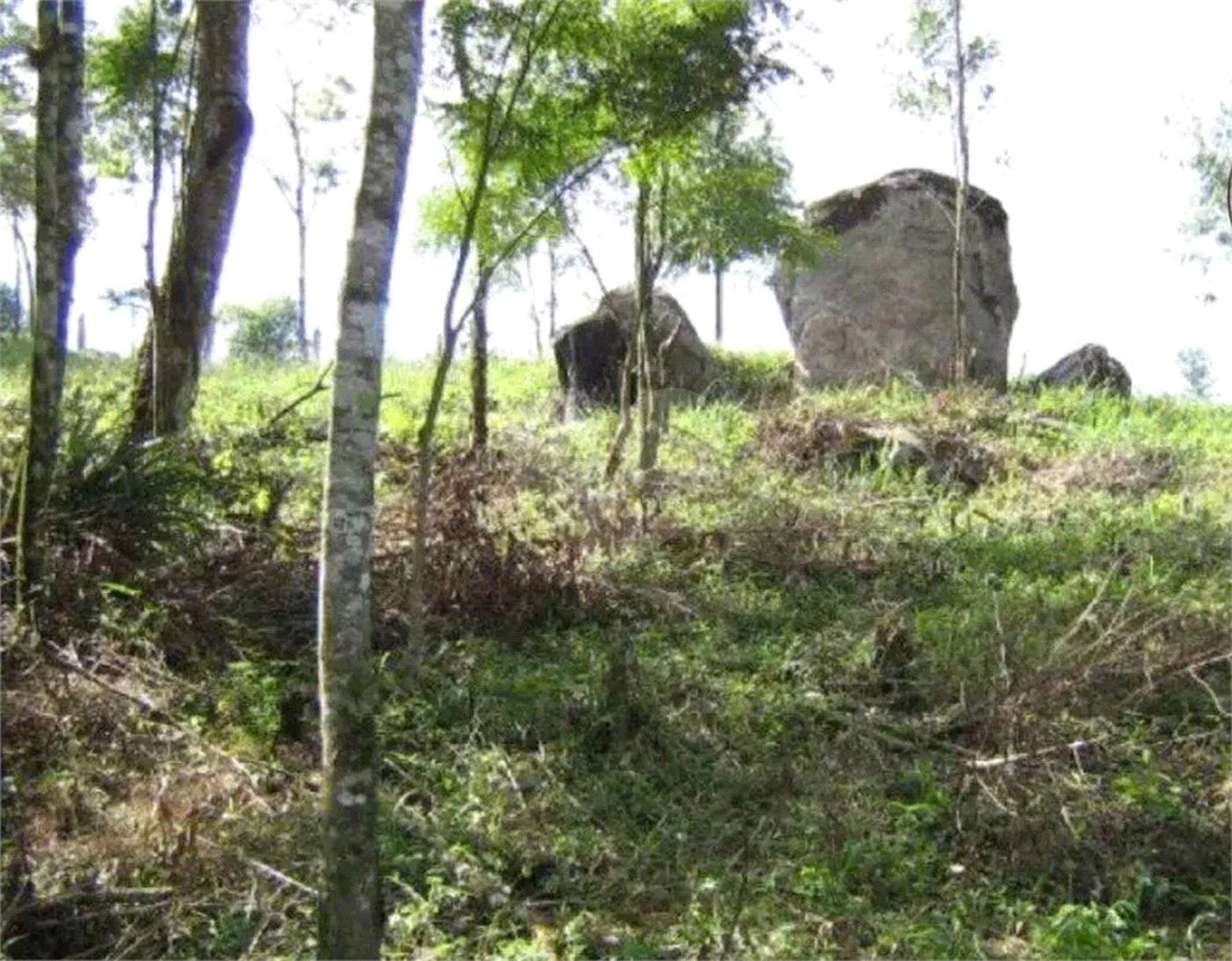Área de Terra à venda em Alto da Serra (mailasqui), São Roque, SP