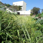 Terreno à venda em Jardim São Bento, São Paulo, SP