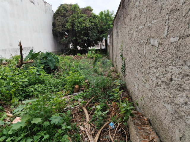 Terreno à venda com 1 suíte em Vila Constança, São Paulo, SP