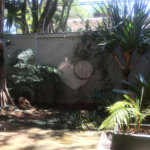 Sobrado à venda com 4 quartos, sendo 1 suíte, em Jardim Novo Mundo, São Paulo, SP