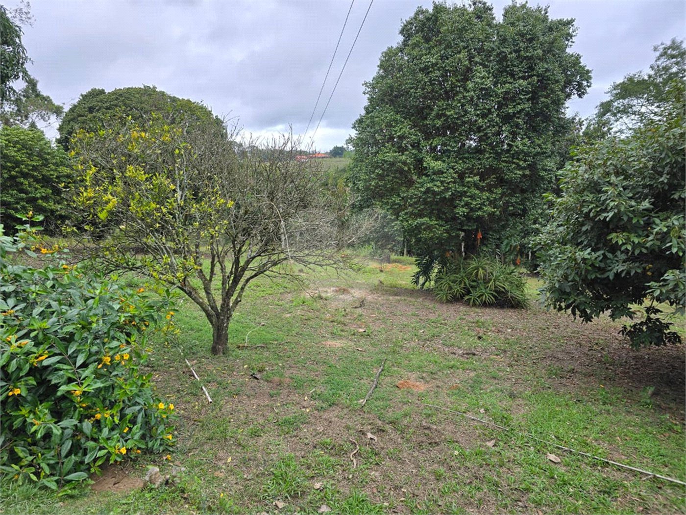 Sítio à venda com 6 quartos, sendo 5 suítes, em Área Rural de Itapetininga, Itapetininga, SP