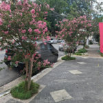 Apartamento à venda com 2 quartos em Vila Monumento, São Paulo, SP
