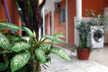 Sobrado à venda com 5 quartos, sendo 3 suítes,  em Santa Teresinha, São Paulo, SP
