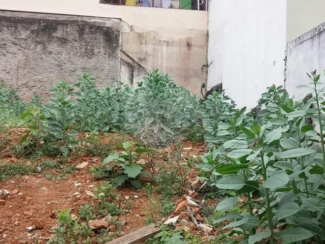Terreno à venda em Limão, São Paulo, SP