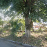 Casa Térrea à venda com 2 quartos em Jardim Santo André, Santo André, SP