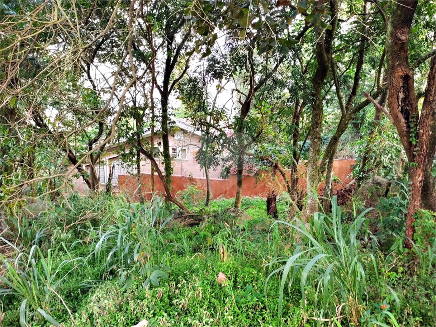 Terreno à venda em Tucuruvi, São Paulo, SP
