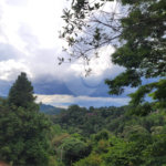 Terreno à venda no condomínio Alpes da Cantareira, Mairiporã - SP