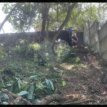 Terreno à venda em Jardim Peri Peri, São Paulo, SP