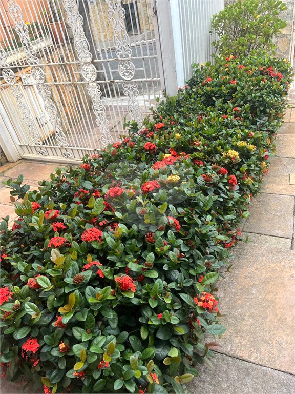 Sobrado à venda com 4 quartos, sendo 1 suíte,  em Jardim Leonor Mendes de Barros, São Paulo, SP