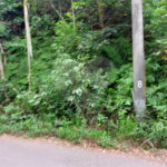 Terreno à venda no condomínio Sausalito, Mairiporã - SP