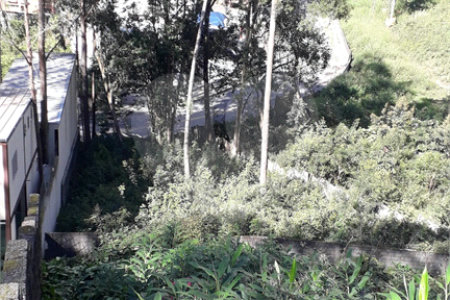 Terreno à venda ou para alugar em Vila Andrade, São Paulo, SP