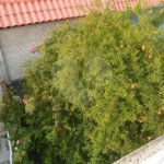 Sobrado à venda com 3 suítes em Vila Isolina Mazzei, São Paulo, SP