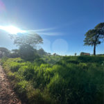 Terreno à venda em Pedro Juan Caballero, Amambay