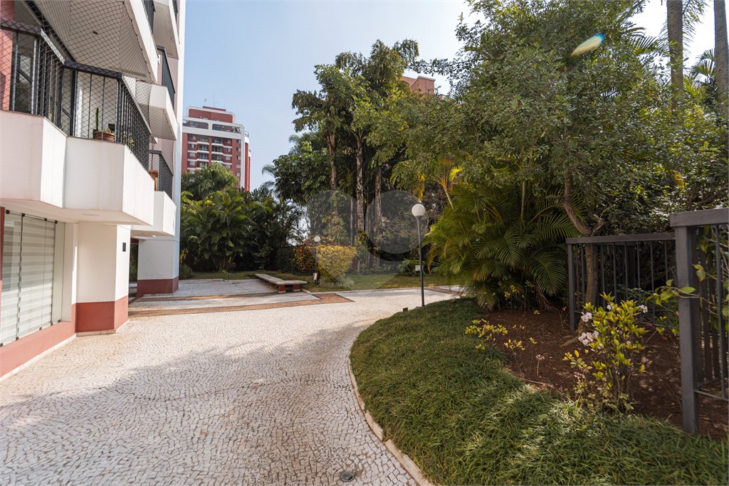 Apartamento à venda com 3 quartos, sendo 1 suíte,  em Vila Mascote, São Paulo, SP