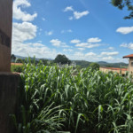 Terreno à venda em Jardim dos Pinheiros, Atibaia, SP