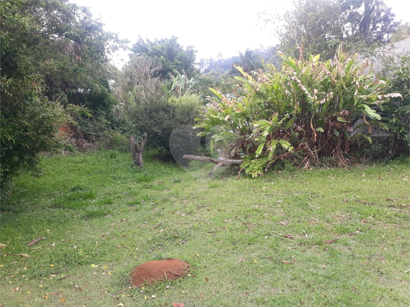Terreno para alugar em Jardim Rene, São Roque, SP
