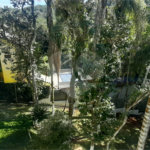 Sobrado à venda com 5 quartos, sendo 3 suítes, em Serra da Cantareira, Mairiporã, SP