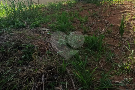 Terreno à venda em Vila Junqueira, Atibaia, SP